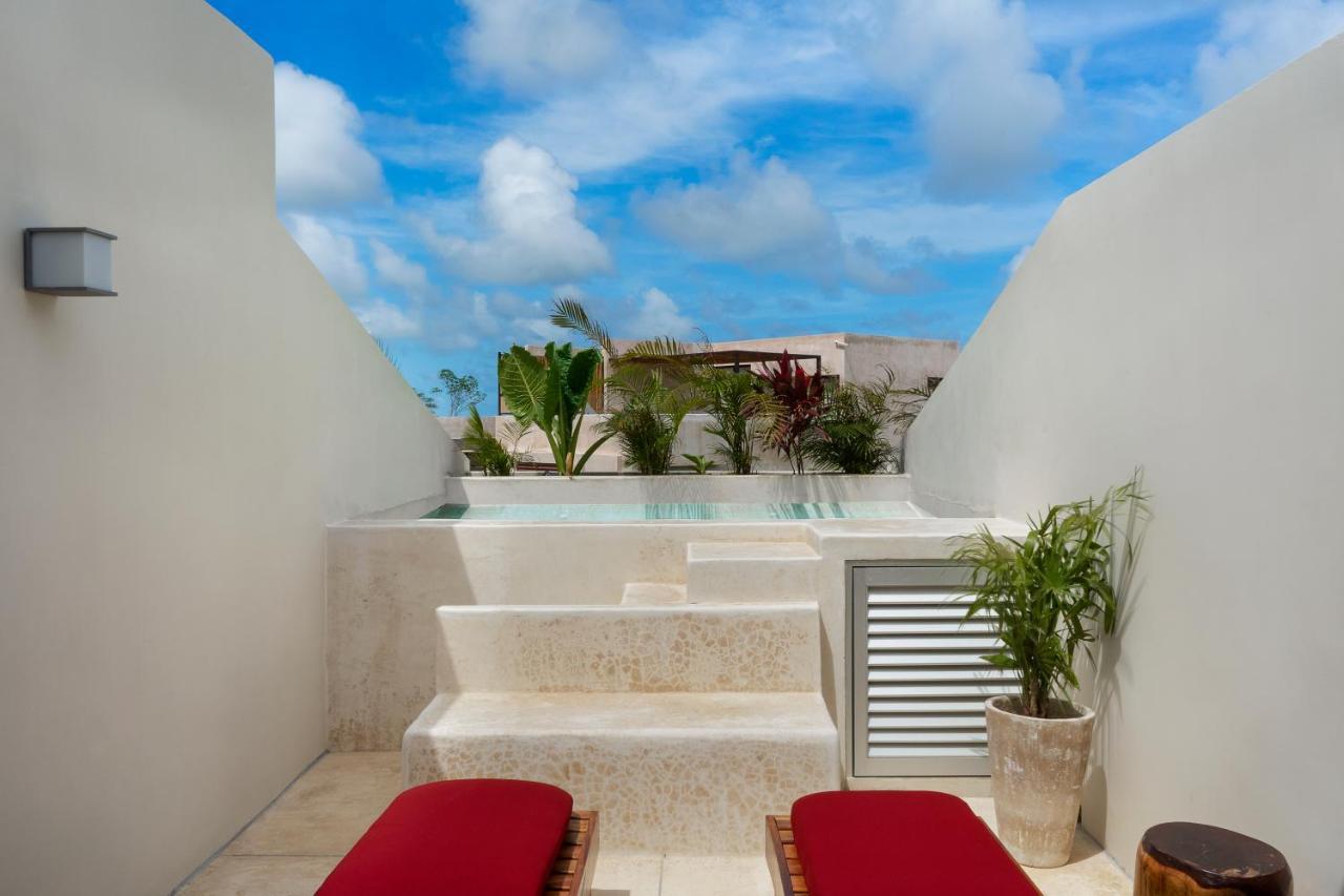 Private Pool And Roof Top For 3 In La Veleta 图卢姆 外观 照片
