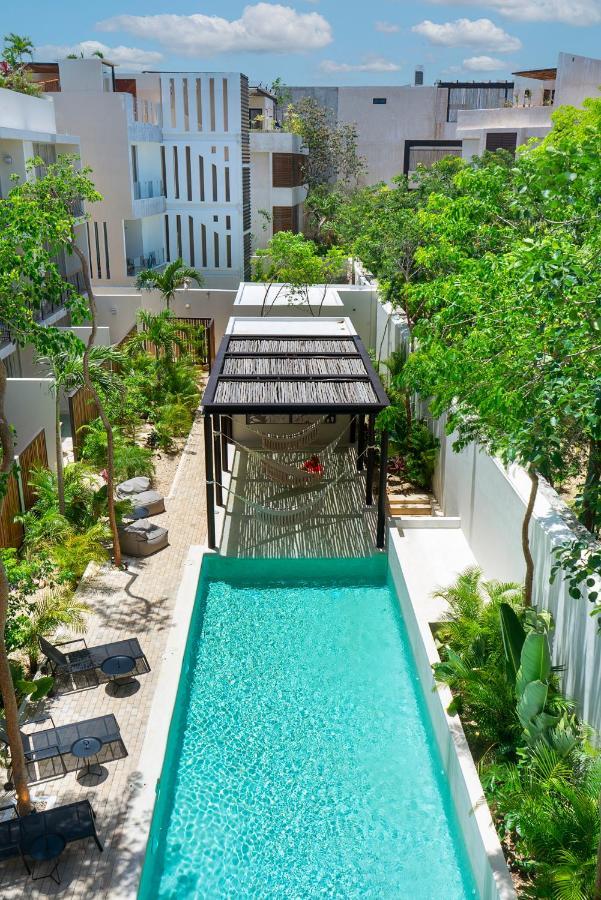 Private Pool And Roof Top For 3 In La Veleta 图卢姆 外观 照片