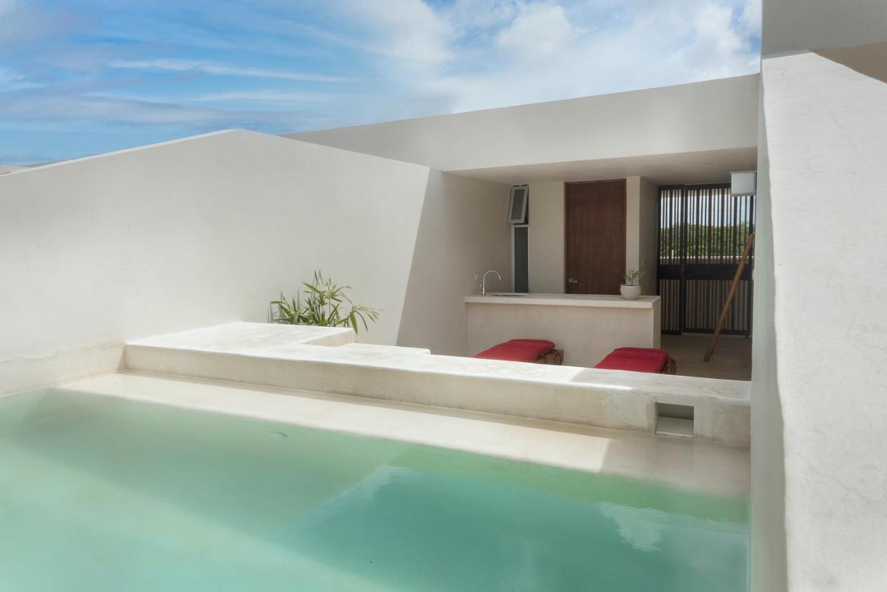 Private Pool And Roof Top For 3 In La Veleta 图卢姆 外观 照片